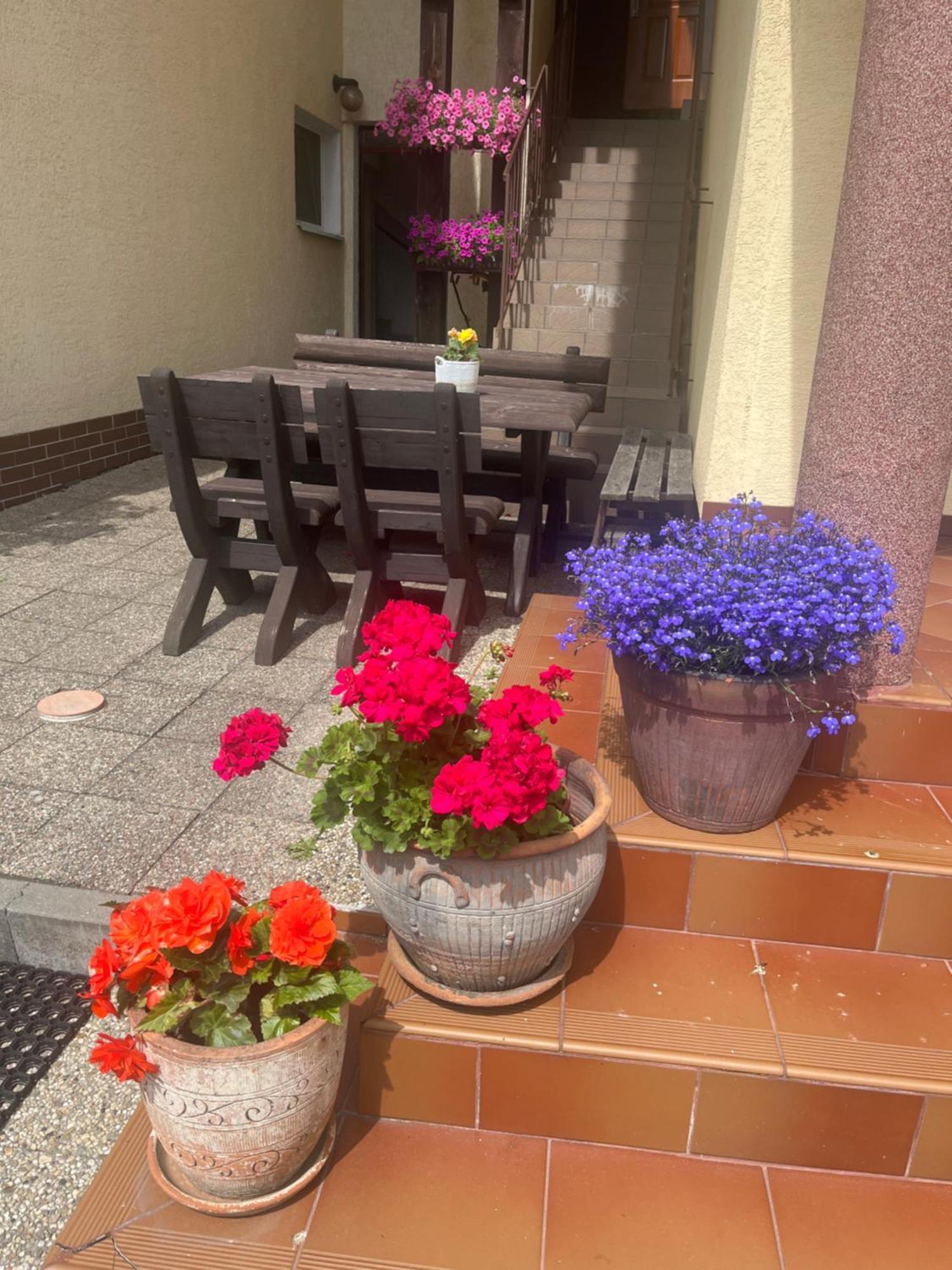 Dom Muszelka Hotel Krynica Morska Ngoại thất bức ảnh